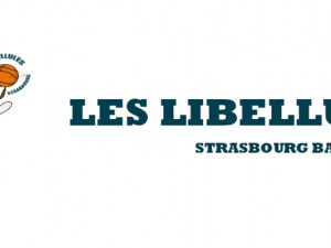 Logo Libellules Strasbourg